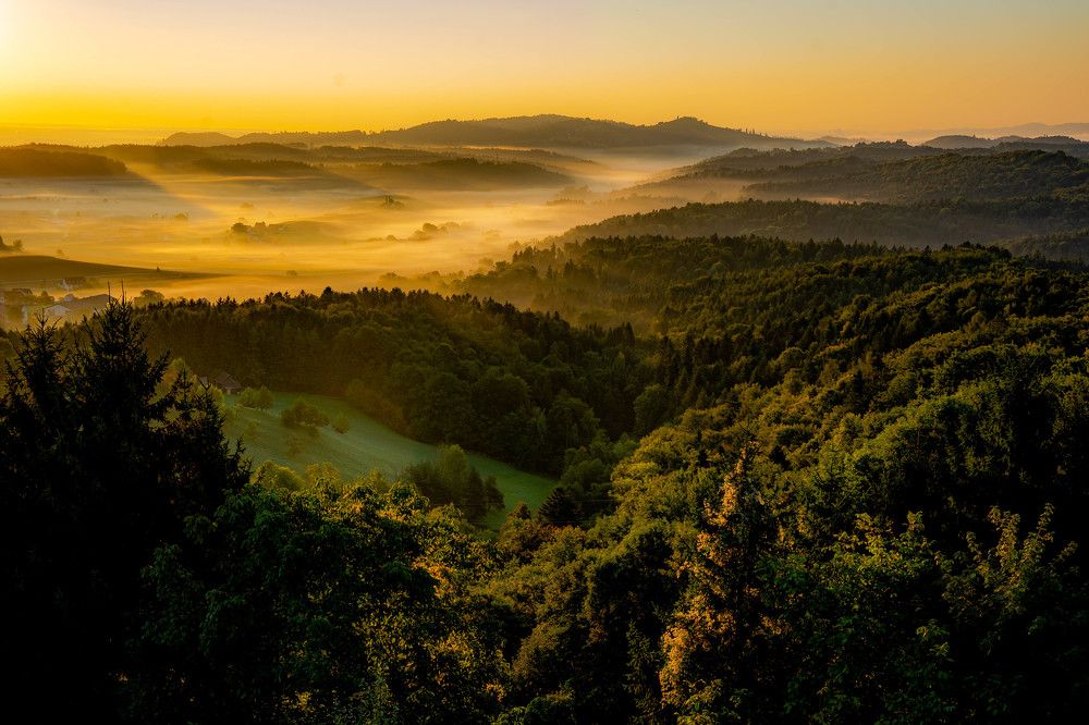 Photograph by Romualdas Vaitkevicius