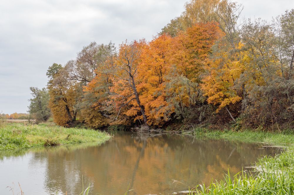 Photograph by Леонтьев Михаил