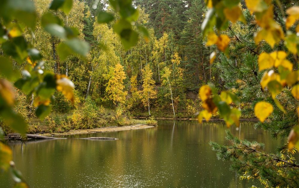 Photograph by Геннадий Покидов