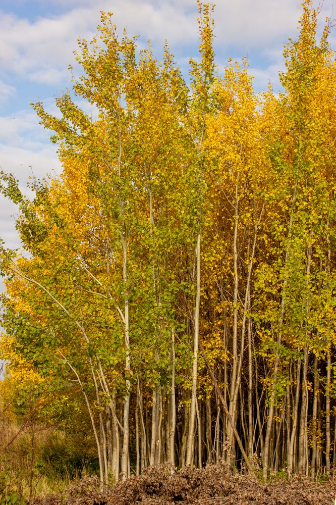 Photograph by Татьяна Казакова