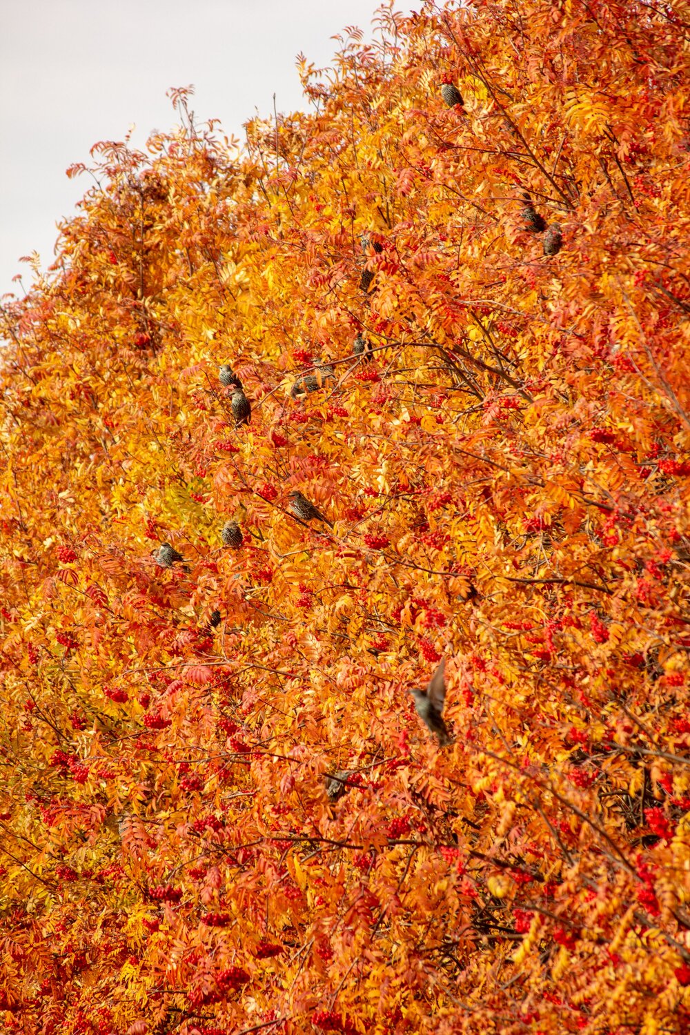 Photo #6567723