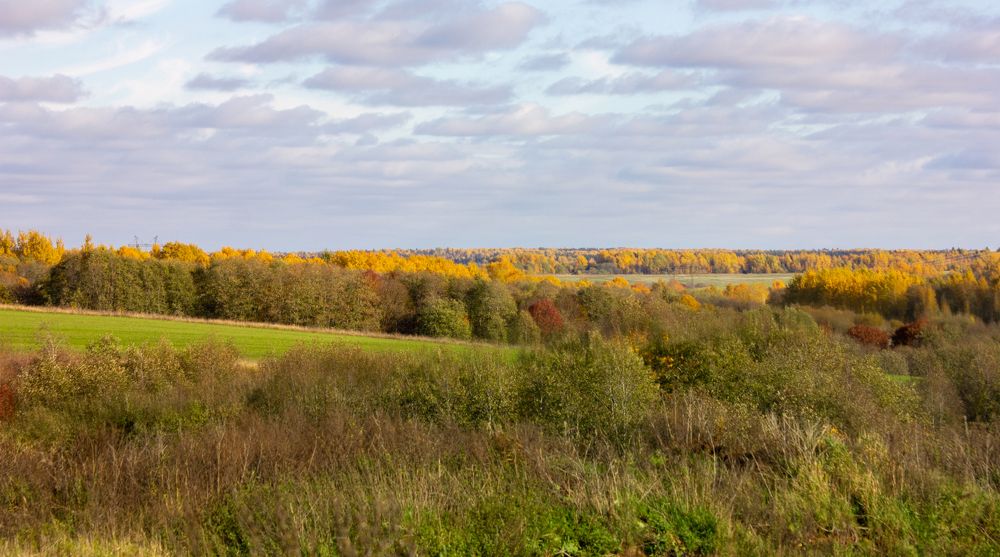 Photograph by Татьяна Казакова
