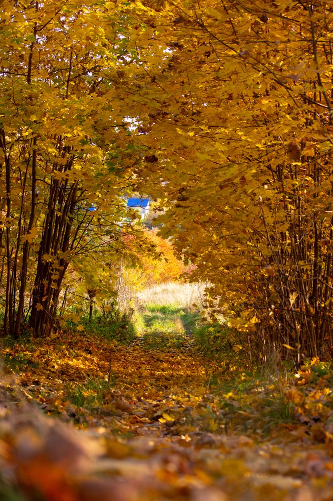 Photograph by Татьяна Казакова