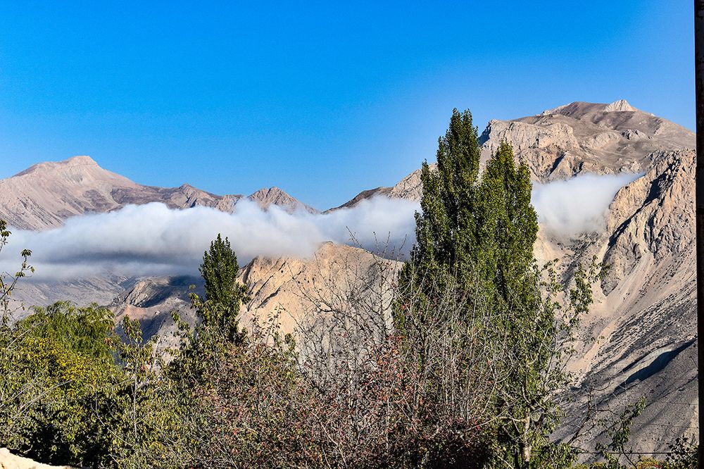 Photograph by Fatemeh Jamalian