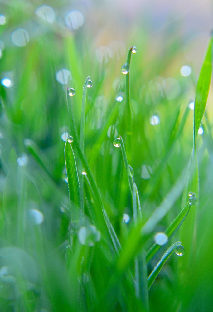 Photograph by Ana-Maria Tatarus