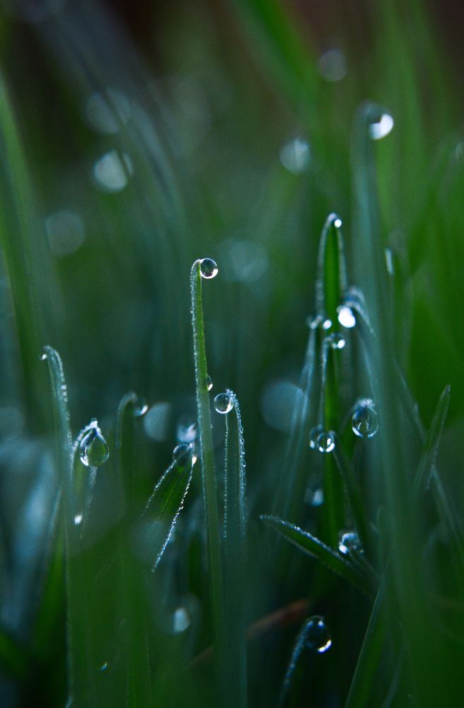 Photograph by Ana-Maria Tatarus