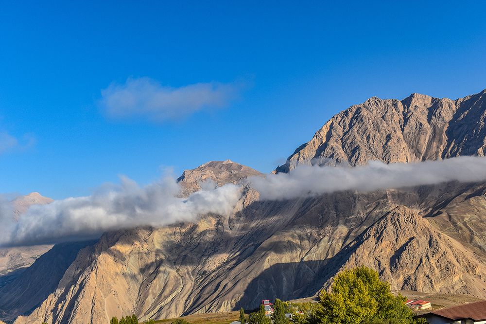 Photograph by Fatemeh Jamalian