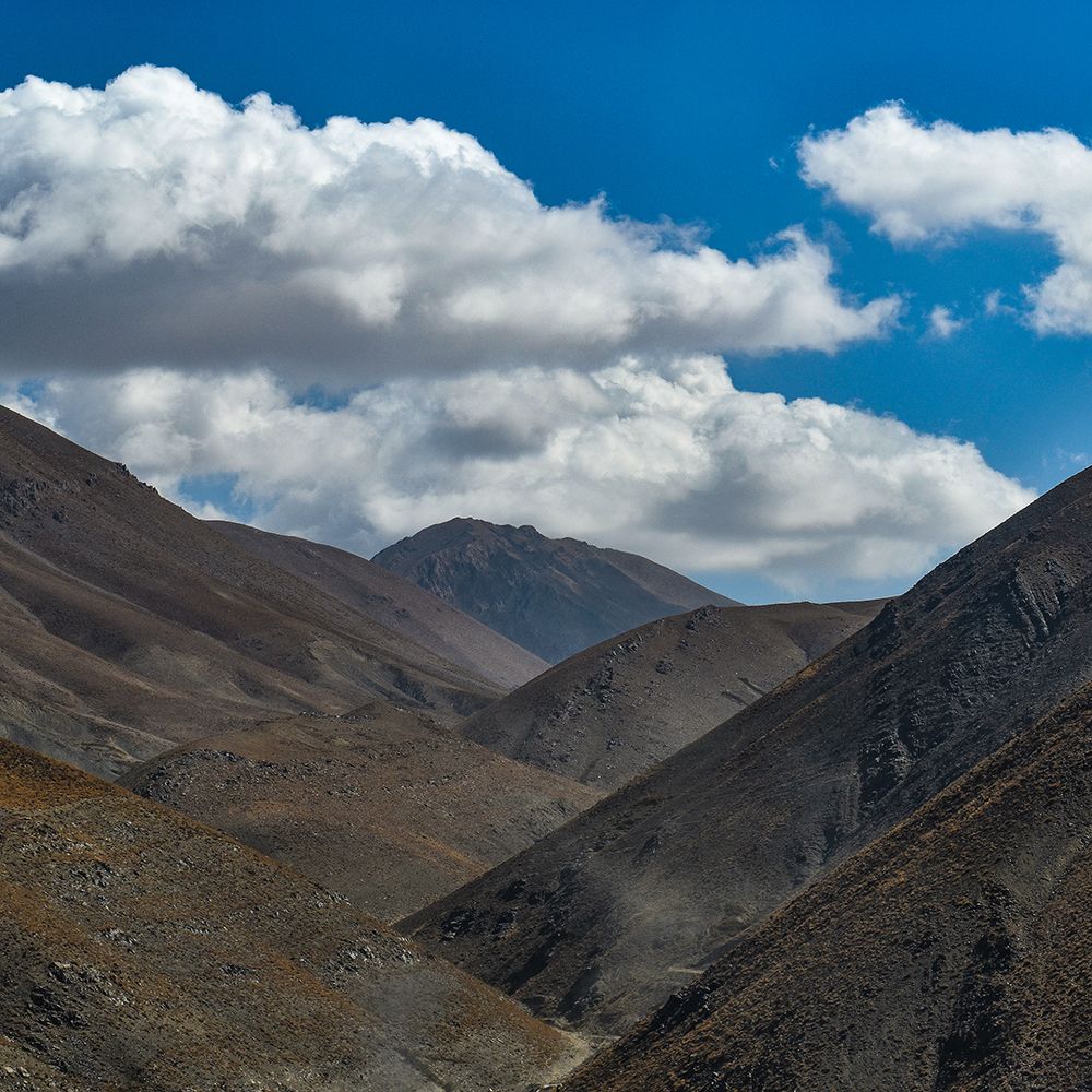 Photograph by Fatemeh Jamalian