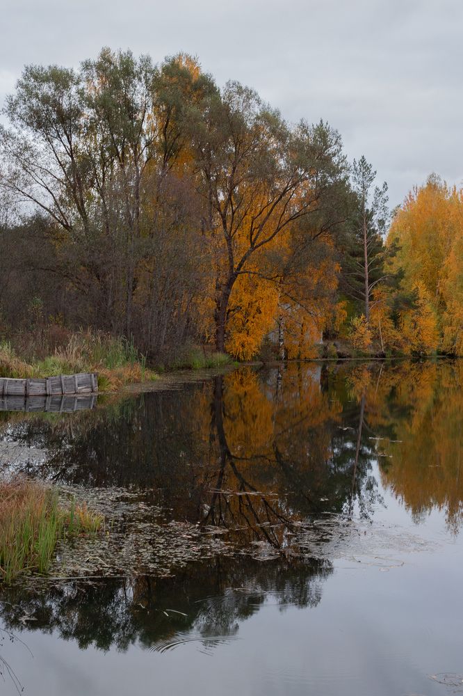 Photograph by Юлия Куделько