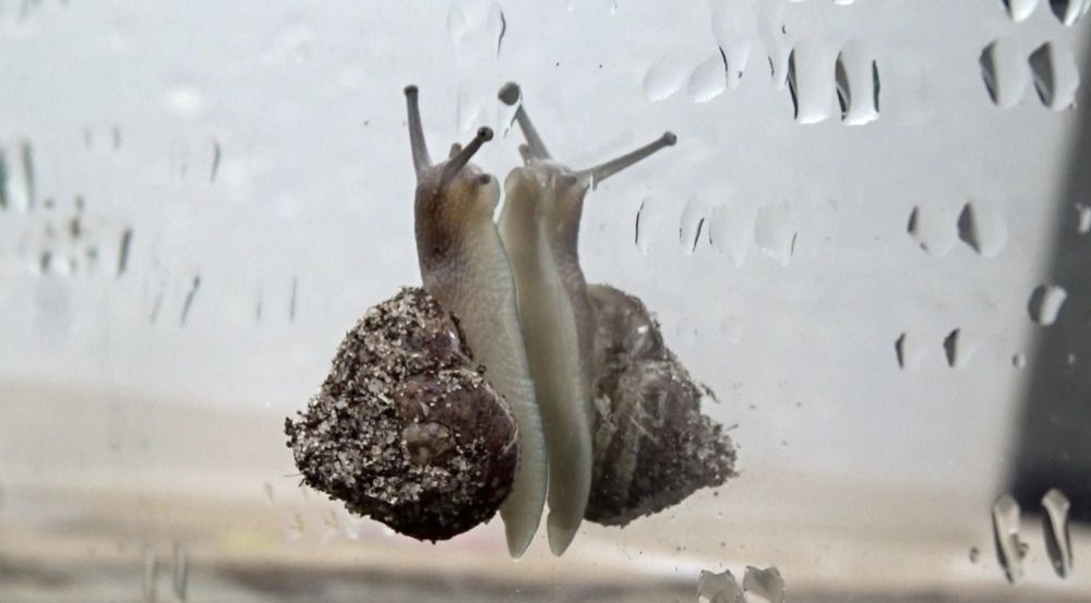 Photograph by Sona Sahakian