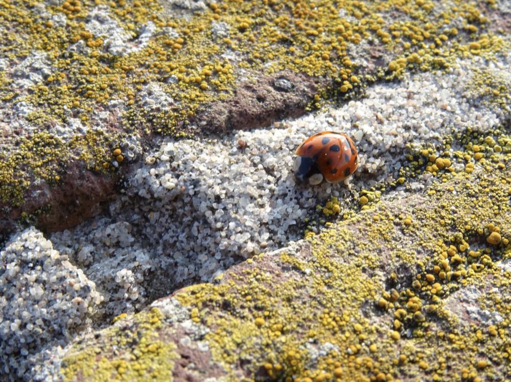 Photograph by Sona Sahakian