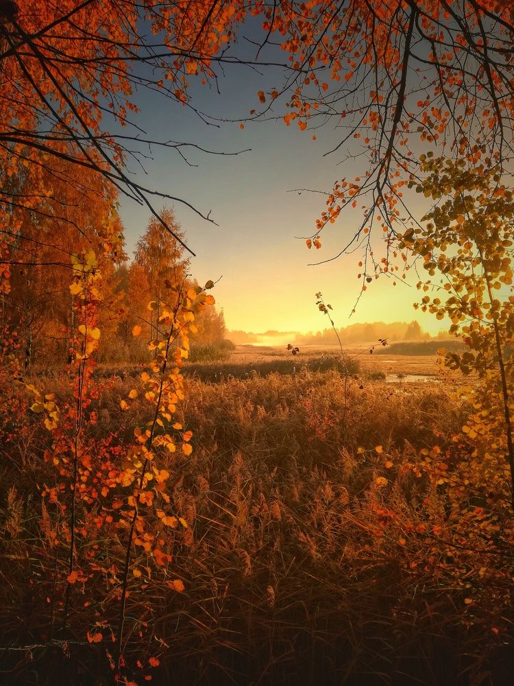 Photograph by Евгений Калагаев