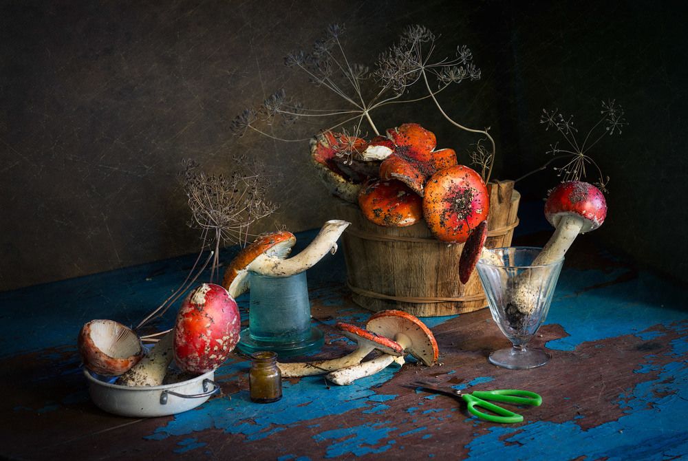 Истории про мухоморы