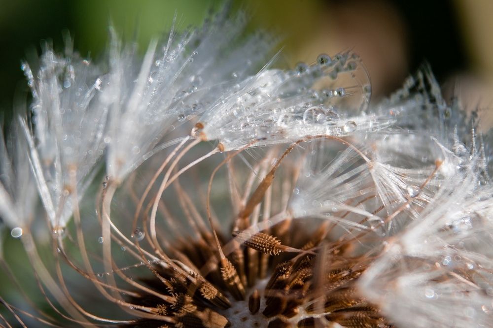 Photograph by Ольга Сергеенко