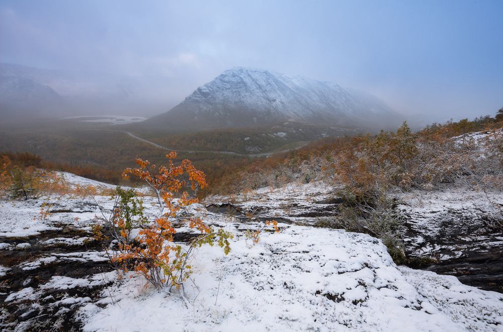 Photograph by Виталий Истомин