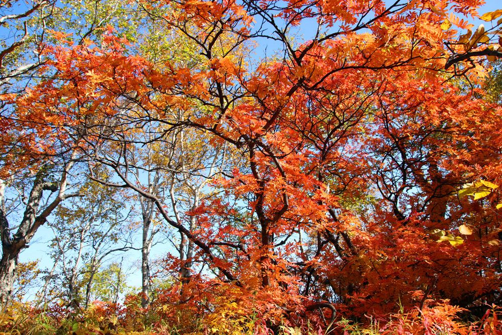 Photograph by Галина Ильясова