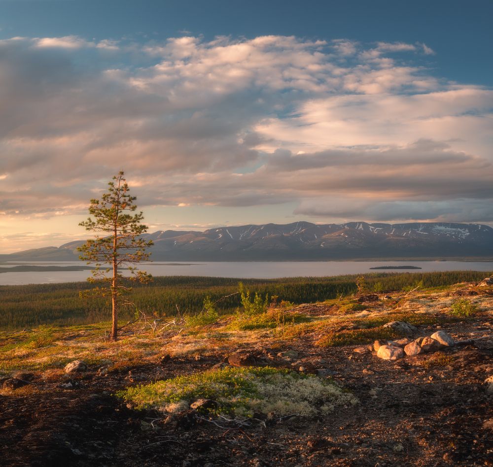 Photograph by Виталий Истомин