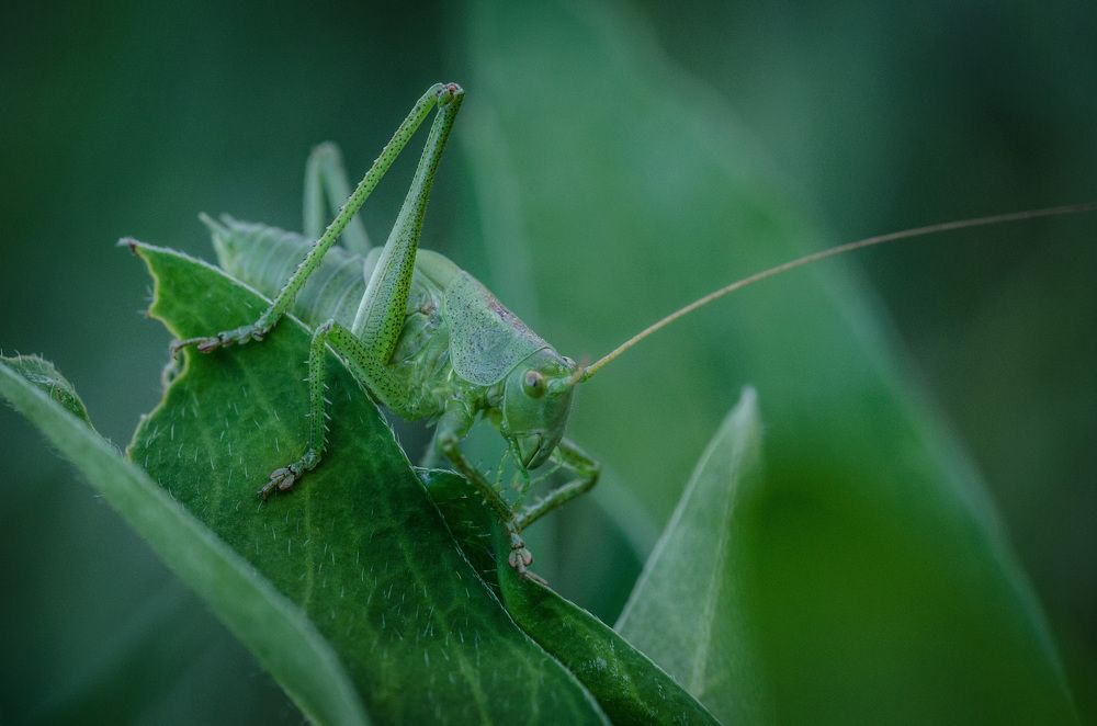 Photograph by Александр Софонов