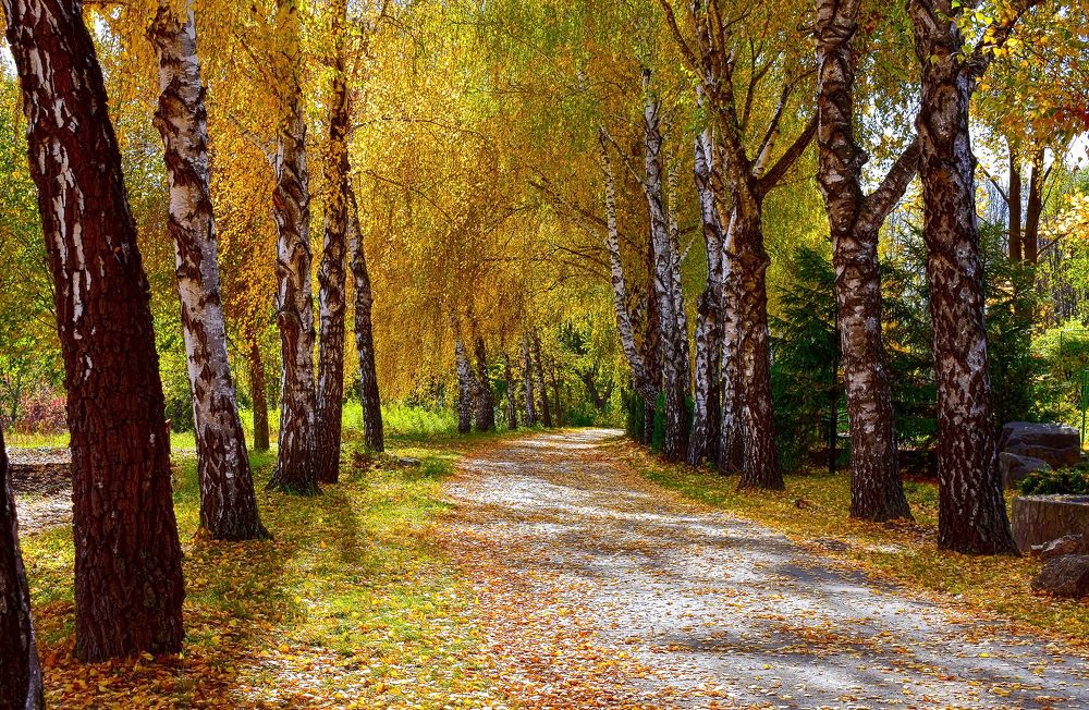 Photograph by Nina Streapan