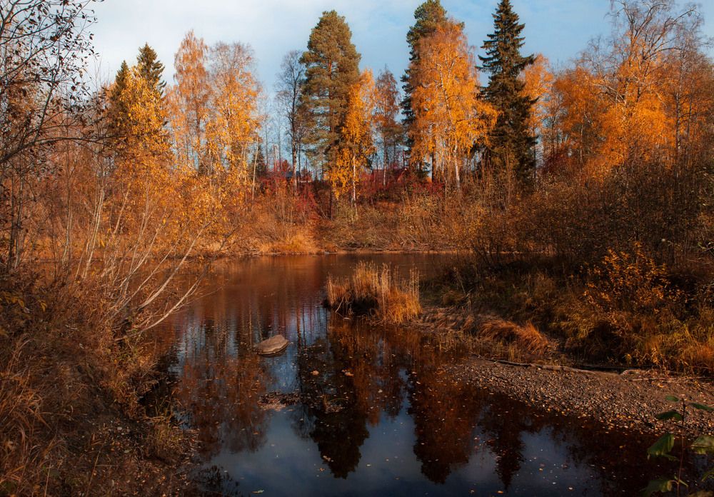 Photograph by Наталья Вторыгина