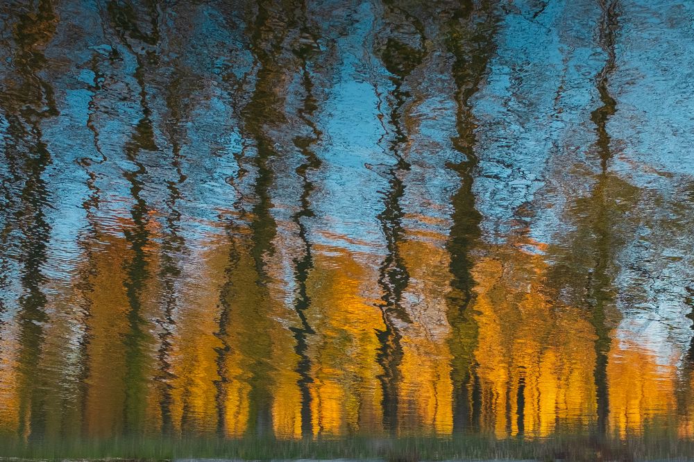 Photograph by Максим Селиванов