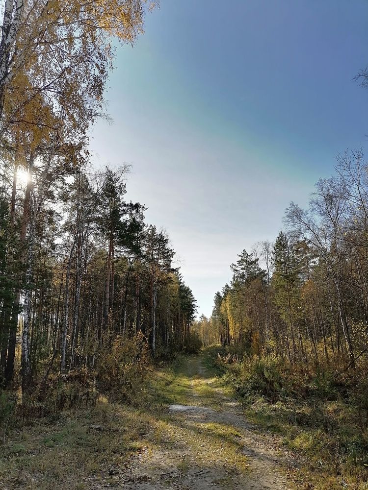 Photograph by Елена Аверьянова