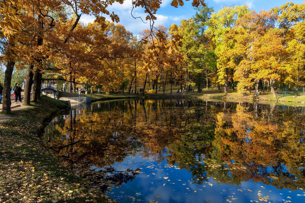 Photograph by Светлана Ващенко