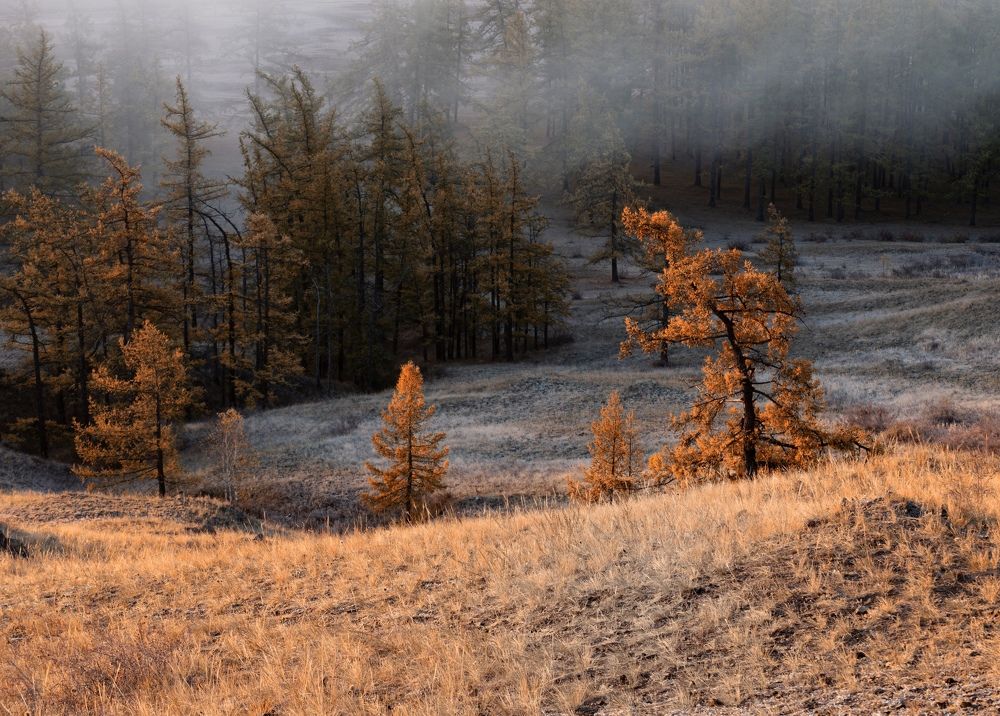 Photograph by Максим Ватрушкин