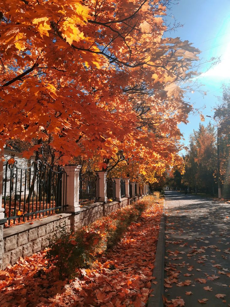 Photograph by Екатерина Слепнева