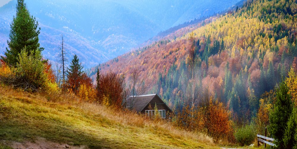 Photograph by Ярослава Громова