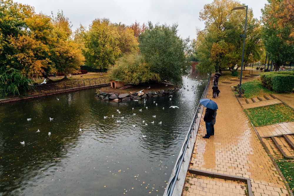 Photograph by Александр Филипенко