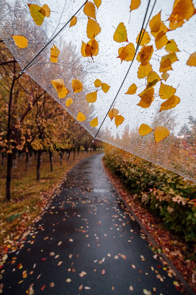 Photograph by Александр Филипенко