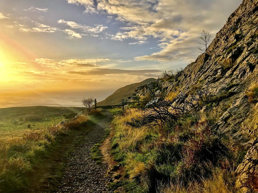 Photograph by Elena Sobol