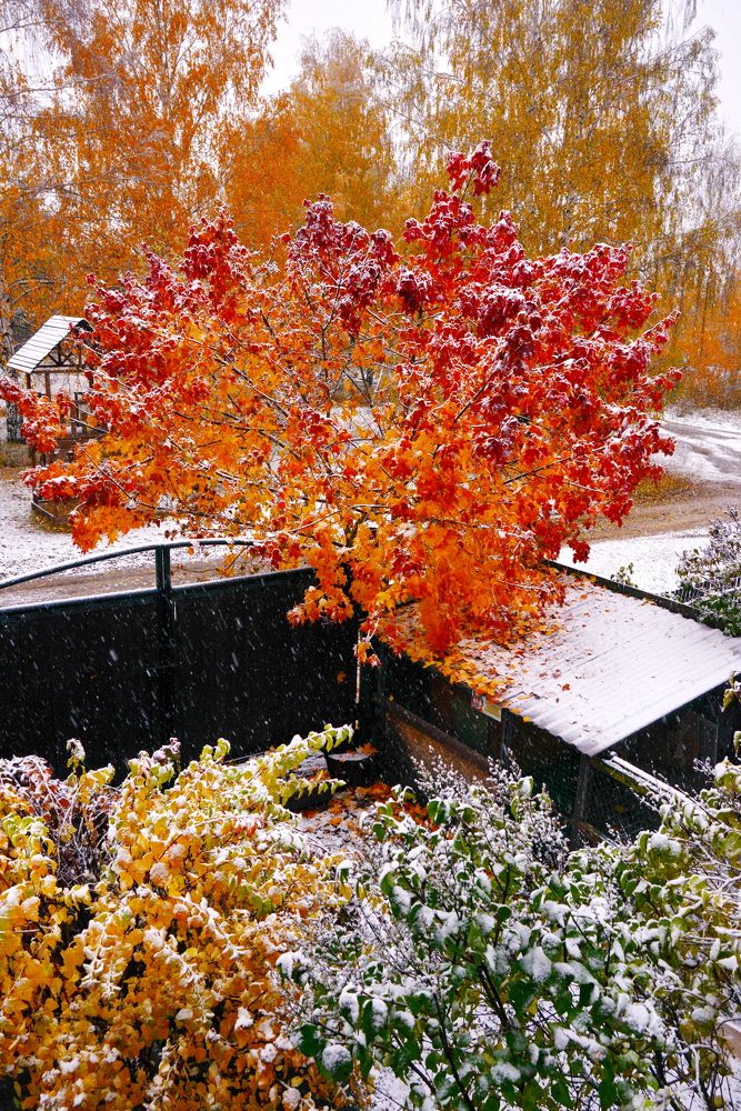 Photograph by Валерий Толмачев