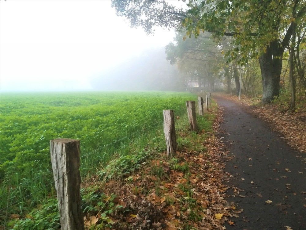 Photograph by Natalie Liedtke