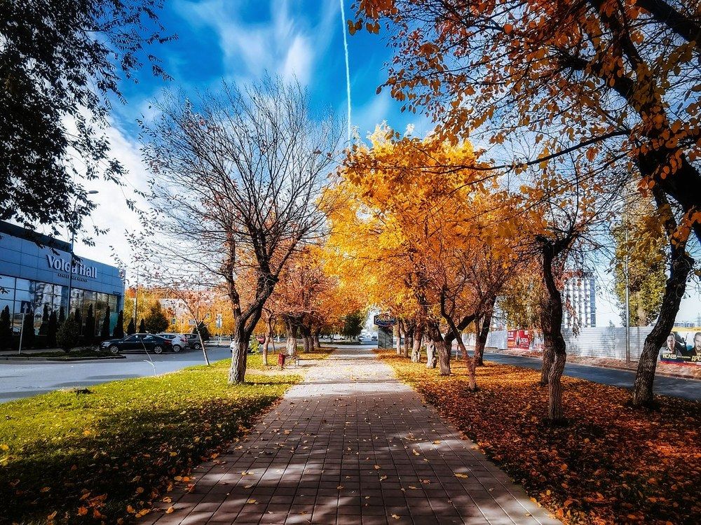 Photograph by Андрей Аушев