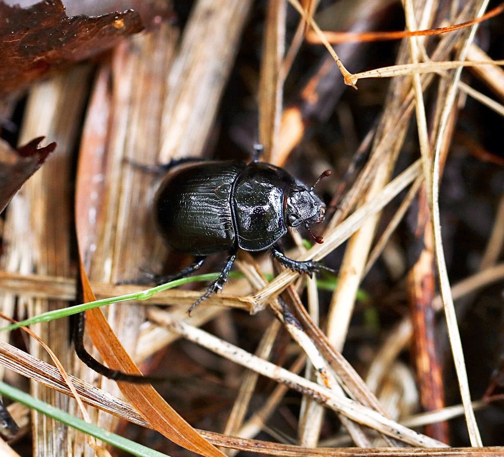 Photograph by Елена Ковалева