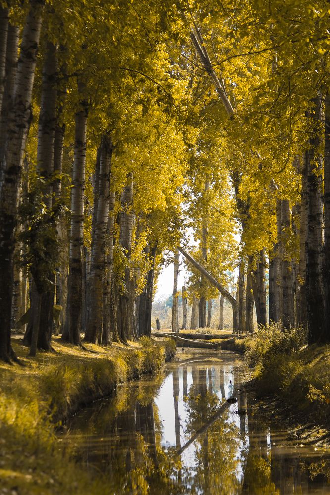 Photograph by Bhatt Muxamil