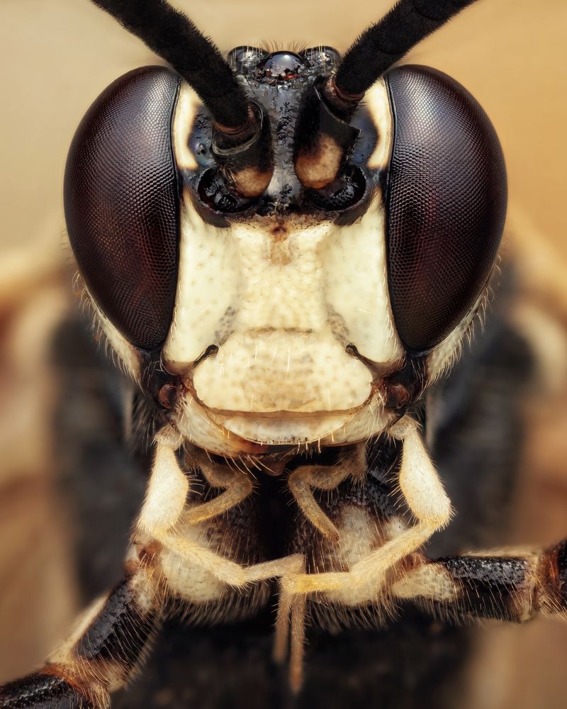 Photograph by Роман Фадеев