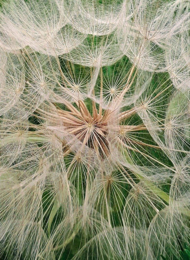 Photograph by Helen Seleznova