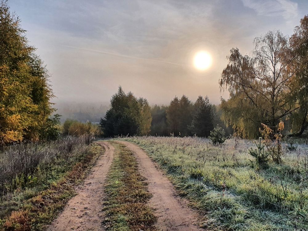 Звонкое утро)