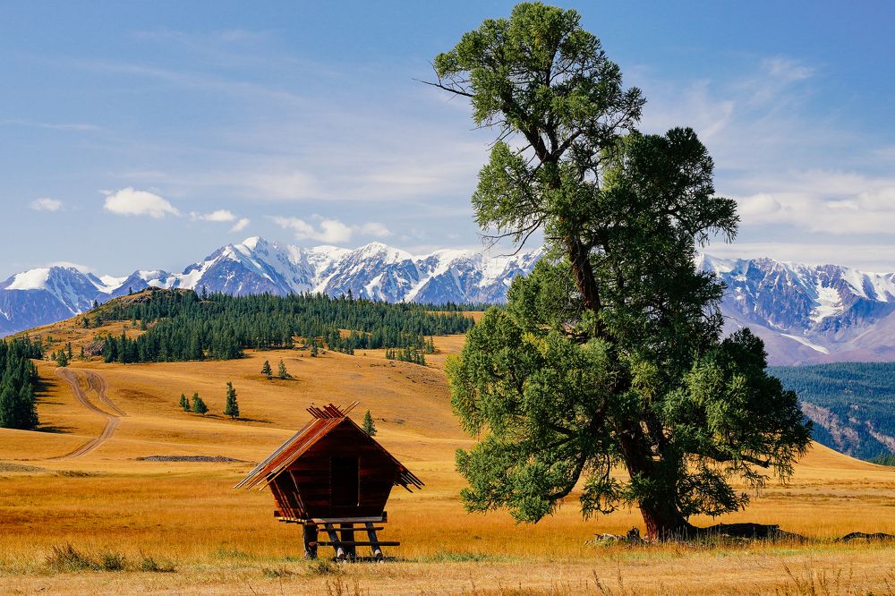 Photograph by Сергей Андрейчук