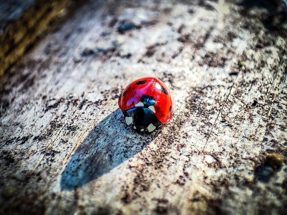 Photograph by Сергей