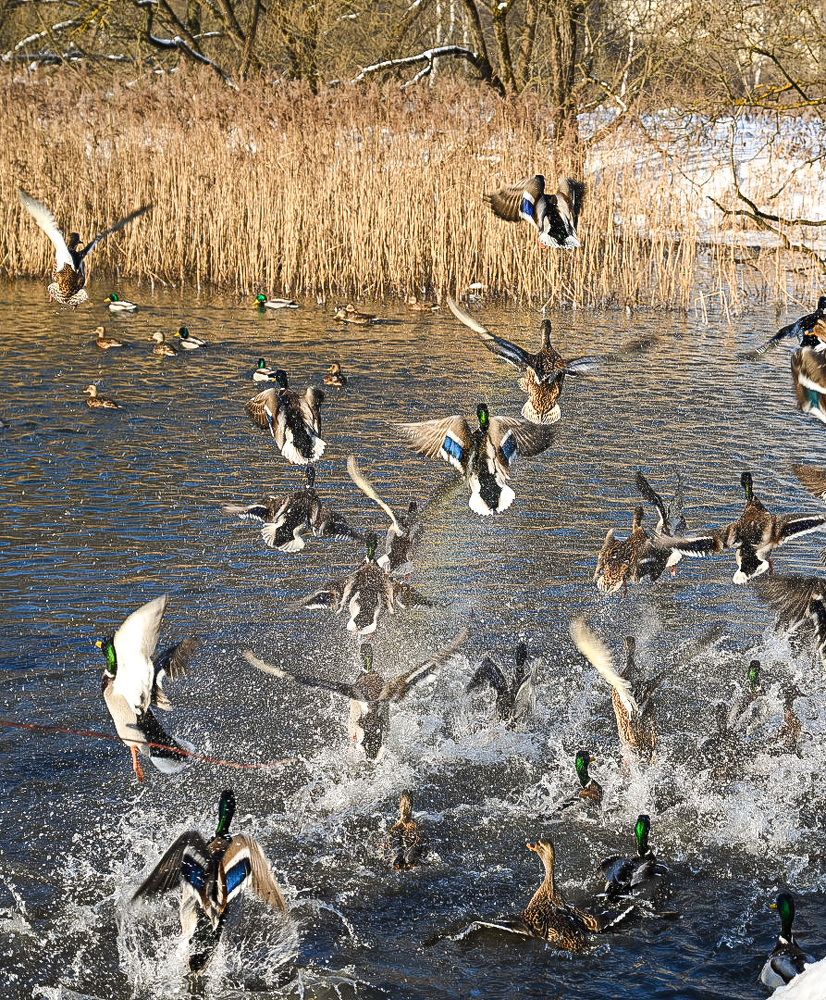 Photograph by Маргарита Соболева