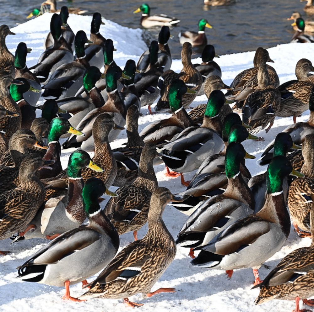 Photograph by Маргарита Соболева