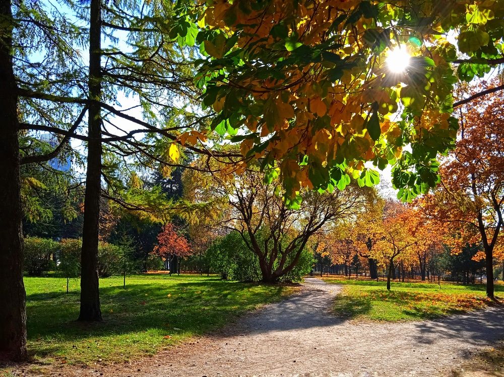 Photograph by Татьяна Юдина