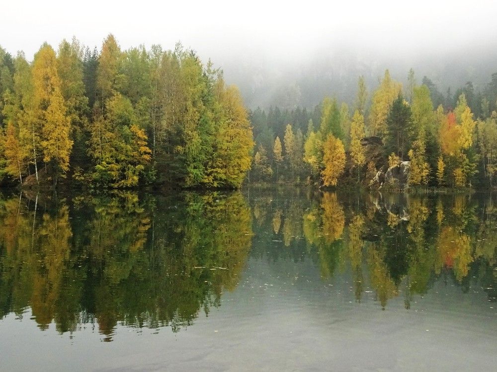 Photograph by Людмила