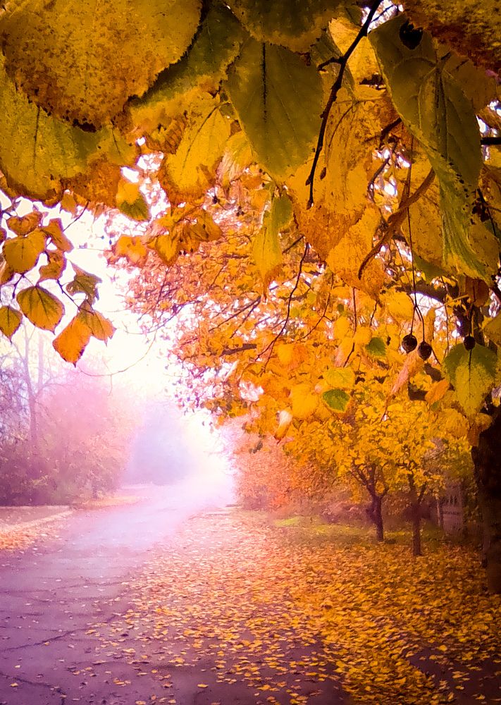 Photograph by Наталия Гнатова