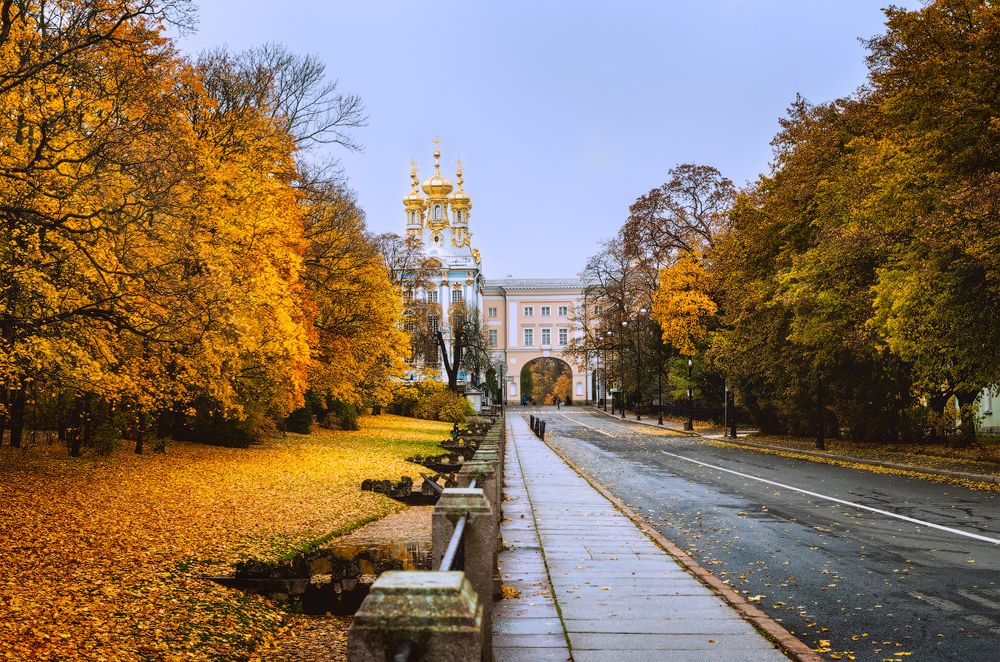 Фотография автора Майя Афзаал