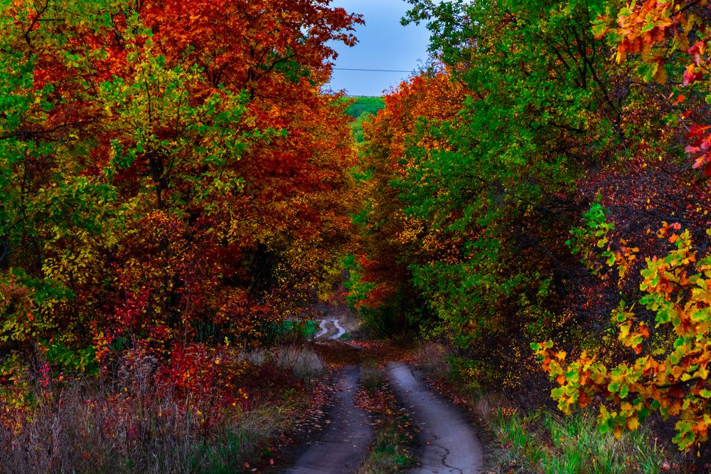 Photograph by Алексей Шалашов